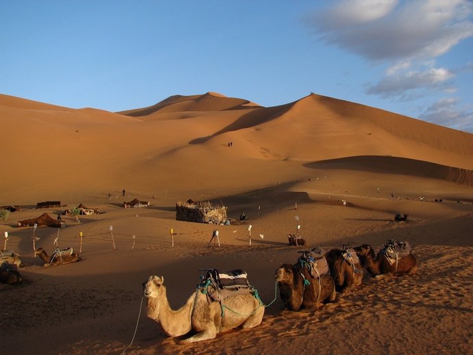Desierto del Sáhara - Archivo