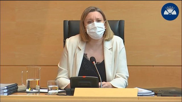 Blanco Llamas presenta el informe sobre las residencias en la Comisión de Familia de las Cortes