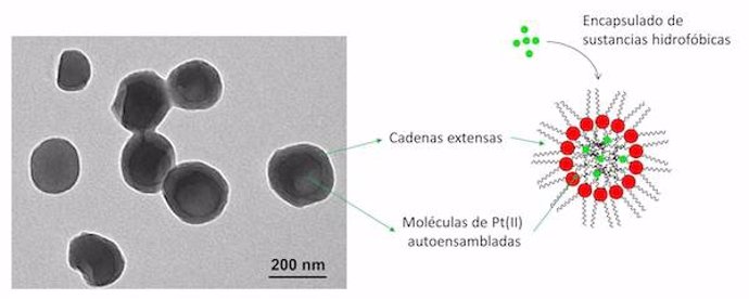 Microfotografía de los nanocristales de Pt(II)