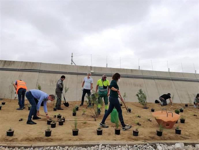 El Port de Tarragona ha organizado una plantada de árboles con motivo de la Semana de la Naturaleza en Catalunya, el 9 de octubre de 2020.