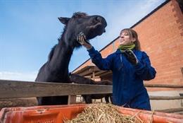 Agro.- Jord defiende que el futuro del medio rural pasa por dar más oportunidad