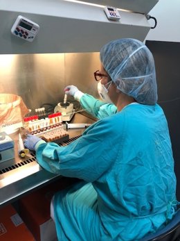 Médica en la unidad de Microbiología del Hospital Reina Sofía de Córdoba, foto de archivo