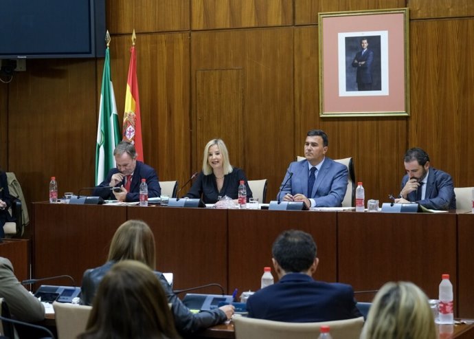 La fiscal superior de Andalucía, Ana Tárrago, presenta en comisión parlamentaria la memoria de la Fiscalía (Foto de archivo).