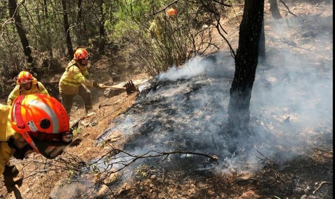 Efectivos del Infoex trabajan para extinguir un incendio forestal.