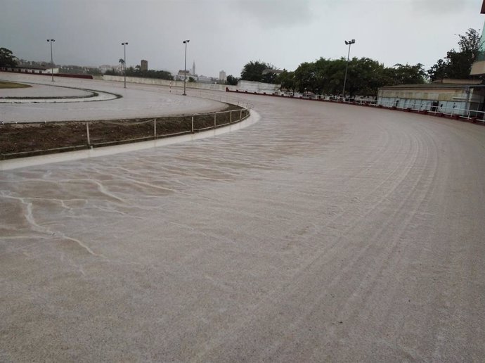 Hipódromo Municipal de Manacor.