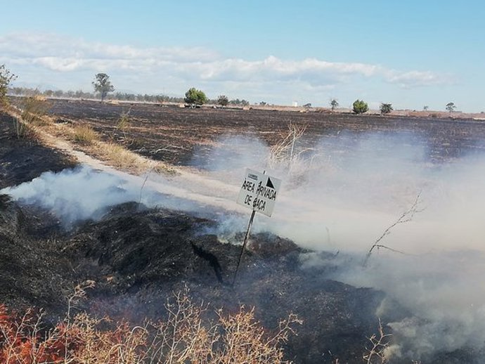 Pla general de part de la superfície cremada a l'incendi agrícola entre Beliana i Vilanova de Bellpuig. Imatge de l'11 d'octubre del 2020 (Horitzontal)
