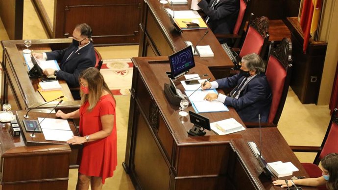 La consellera de Salud y Consumo, Patricia Gómez, en una comparecencia ante el Pleno.