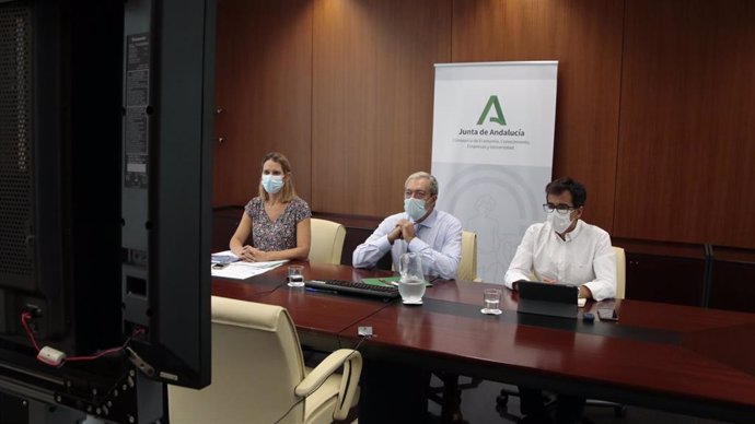 Imagen de archivo del consejero de Transformación Económica, Rogelio Velasco, presidiendo una reunión del Consejo Rector de la Agencia IDEA.