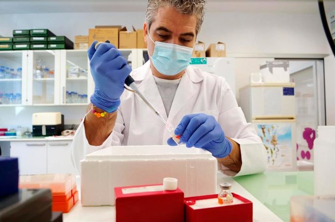 El investigador de la Facultad de Ciencias de la UMA Adrián Ruiz-Villalba, en una imagen de archivo