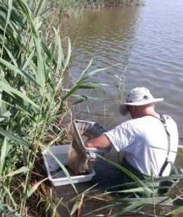 Hidraqua y la UV estudian grupos biológicos indicadores de la calidad del agua