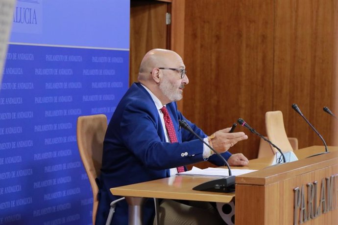 El portavoz parlamentario de Vox en Andalucía, Alejandro Hernández, en rueda de prensa, en una foto de archivo.