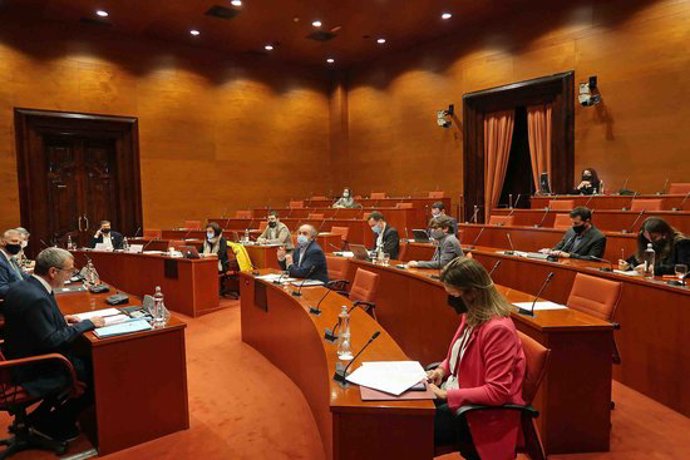 Pla general d'un moment de la Comissió d'Afers Institucionals del Parlament durant la intervenció del síndic d'Aran. Imatge del 14 d'octubre de 2020. (Horitzontal)