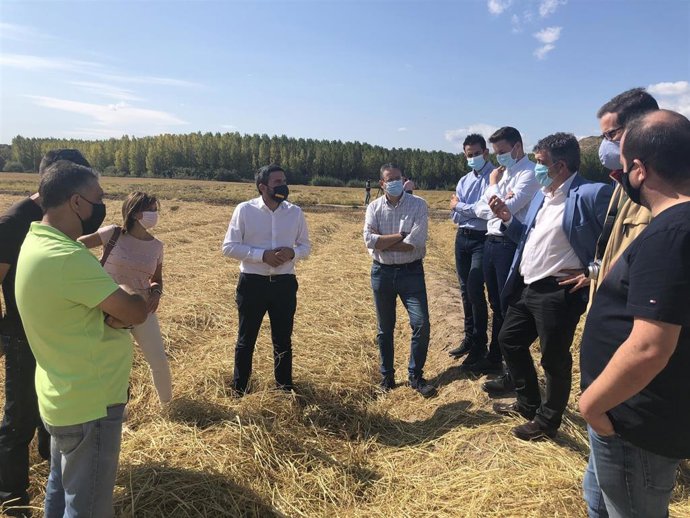 El consejero de Agua, Agricultura, Ganadería, Pesca y Medio Ambiente, Antonio Luengo, visita las labores de siega de arroz de la Denominación de Origen Arroz de Calasparra coincidiendo con las labores de inicio de recolección.