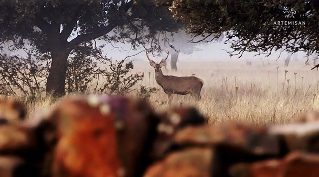 Caza en parques nacionales.