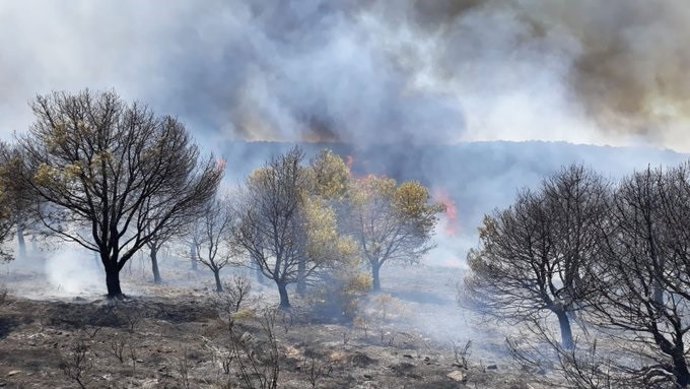 Incendio en Monte Malagón Belalcázar (Foto de archivo).
