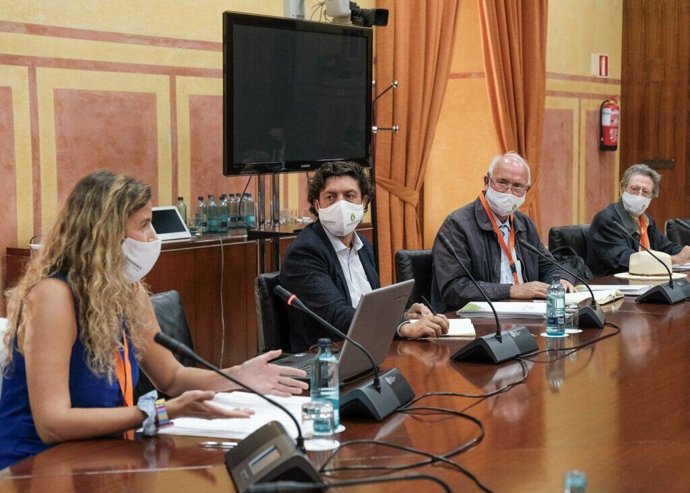 Representantes de la Fundación Savia durante su comparecencia ante el Grupo de Trabajo del Parlamento de Andalucía.