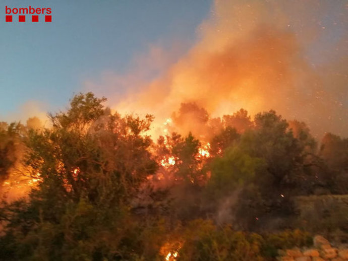 Flames per sobre d'uns arbres fotografiades pels Bombers de la Generalitat en un incendi de vegetació forestal a Tortosa el 14 d'octubre del 2020. Pla general. (Horitzontal)