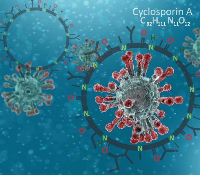 Ciclosporina, un fármaco prometedor para pacientes hospitalizados por la COVID-19