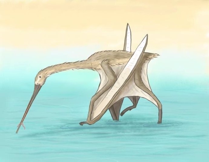Nueva especie única de pterosuario con largo pico de kiwi