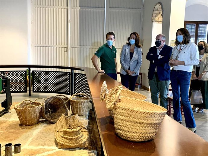 La secretaria general del PP andaluz, Loles López, visita una almazara en Alhaurín el Grande