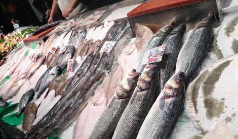 Cooperación y Desarrollo