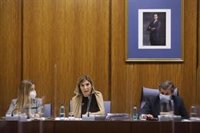 Empleo defiende que "Abengoa no está en crisis por culpa de la Junta" y PSOE-A cree que sería "un fracaso de Moreno"