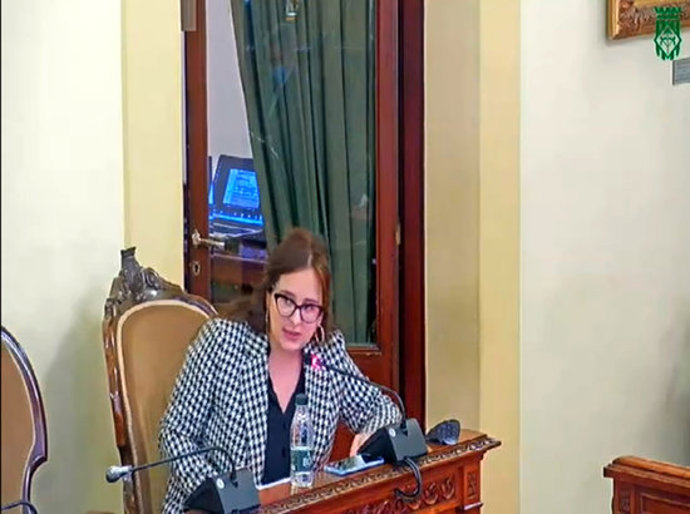 Captura de pantalla de la diputada d'ECP a la Diputació de Lleida, Elena Ferre, durant el ple d'aquesta institució, celebrat el 15 d'octubre del 2020. (Horitzontal)