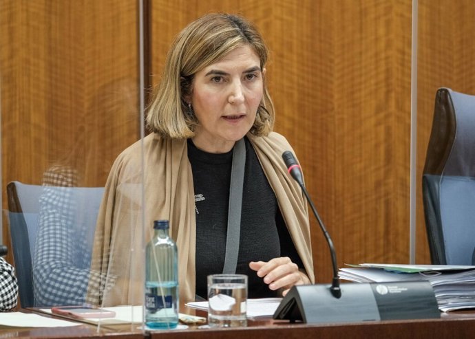 La consejera de Empleo, Rocío Blanco, este jueves durante su comparecencia en comisión.