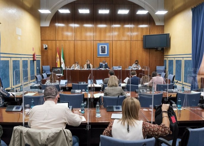 Imagen general de la Comisión de Empleo del Parlamento de Andaucía, durante la comparencia de la consejera este jueves.