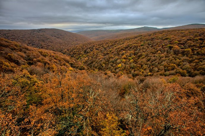 Imagen de la exposición de Valderredible