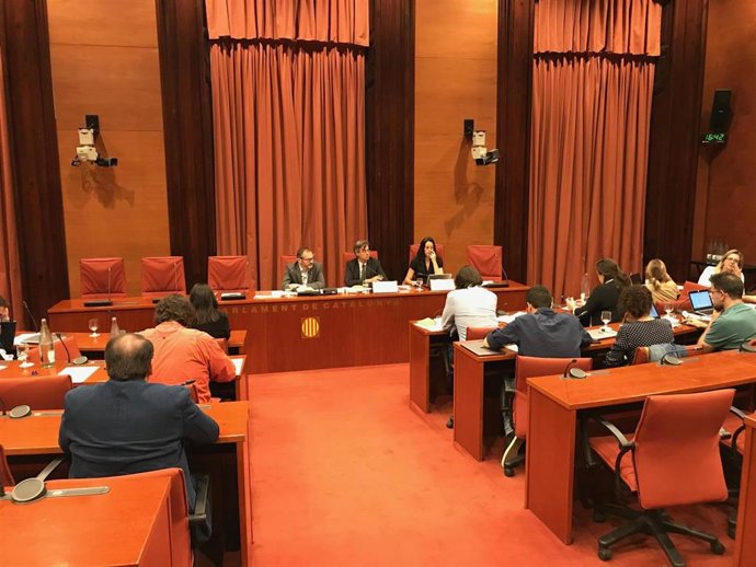 Comisión de exteriores del Parlament en el año 2019