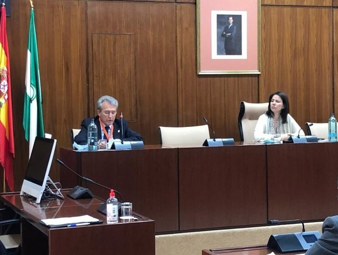 El presidente del Consejo Andaluz de Colegios de Médicos en la Comisión de Estudio sobre la recuperación de Andalucía a causa del Covid-19 (Foto de archivo).
