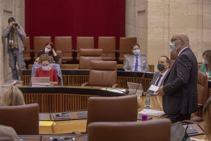 El portavoz del grupo parlamentario Vox en Andalucía, Alejandro Hernández (d), en una foto de archivo en el Parlamento andaluz.