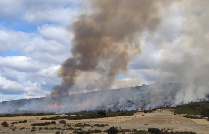Incendio que afecta a la zona de Palazuelo de las Cuevas (Zamora)