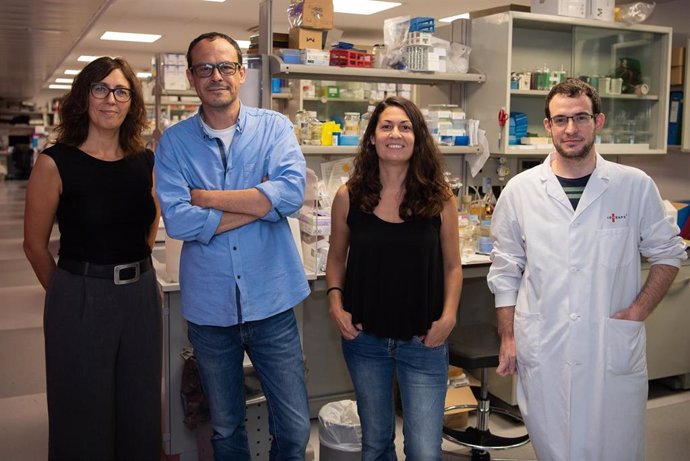 Grupo de investigación del IDIBAPS "Tráfico de lípidos y enfermedad", formado por Marta Bosch, Albert Pol, Alba Fajardo y Frederic Morales Paytuví.