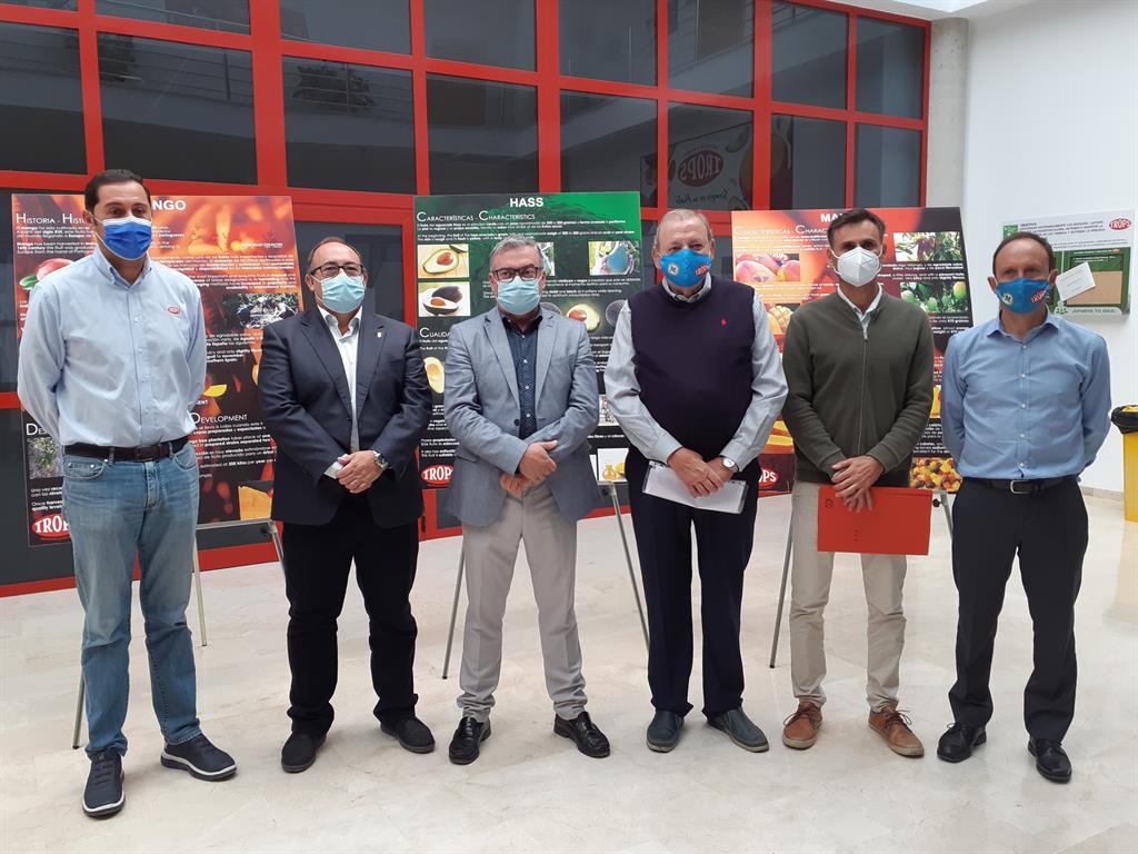 Desarrollan con éxito en Málaga el primer ensayo de Andalucía de riego con agua regenerada en el cultivo de mango 3 Desarrollan con éxito en Málaga el primer ensayo de Andalucía de riego con agua regenerada en el cultivo de mango 3