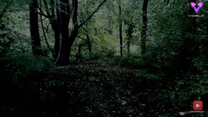 Un cazador de fantasmas afirma haber visto a la niña fantasma de ojos negros en el bosque de Cannock Chase, Inglaterra