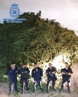 Nota De Prensa E Imágenes: "La Policía Nacional Ha Detenido A Dos Personas E Incautado 10.170 Plantas De Marihuana