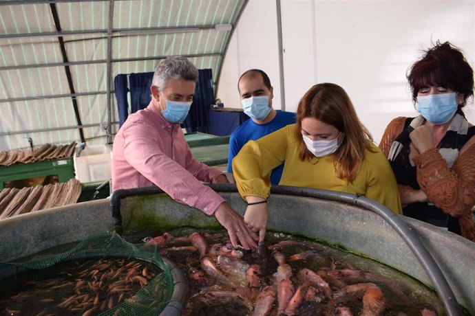 Acuaponía en La Noria