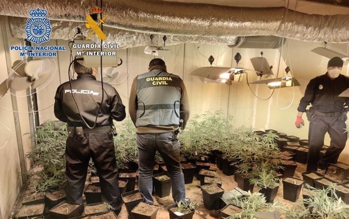 Nota De Prensa: "Policía Nacional Y Guardia Civil Intervienen Cuatrocientas Plantas De Cannabis En Dos Naves Del Polígono Bobadilla De Granada"