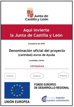 Pantallazo del anexo de las instrucciones de las directrices publicado en el Bocyl