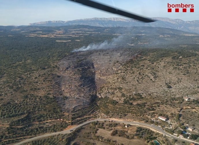 Los Bombers de la Generalitat trabajan la tarde de este sábado en la extinción de un incendio forestal en Avellanes i Santa Linya (Lleida).