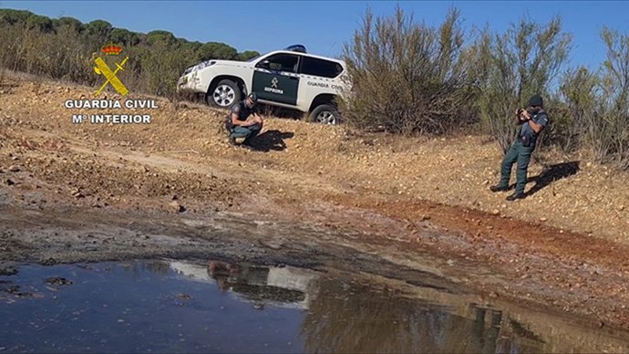 Operación 'Zacallón' de la Guardia Civil en el espacio natural de Doñana.