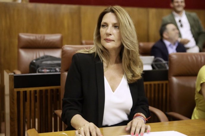 La parlamentaria andaluza de Ciudadanos (Cs) Concha Insúa, en una foto de archivo.