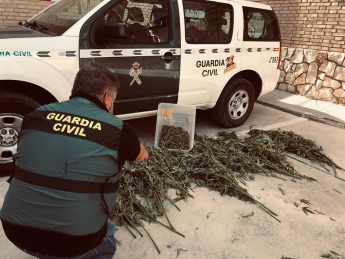 Marihuana intervenida en Palenciana