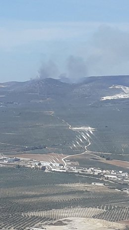 Incendio forestal en un paraje de Estepa (Sevilla).