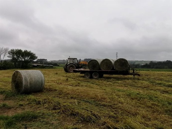 Trabajos en el campo, rural, agricultura, PAC, tractor.