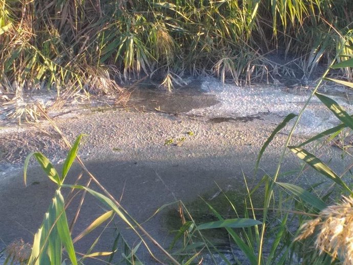 Vertido al arroyo Almonázar