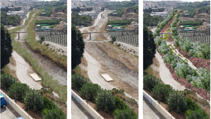 Málaga.- Ecologistas denuncia en la Junta los daños ambientales ocasionados por 