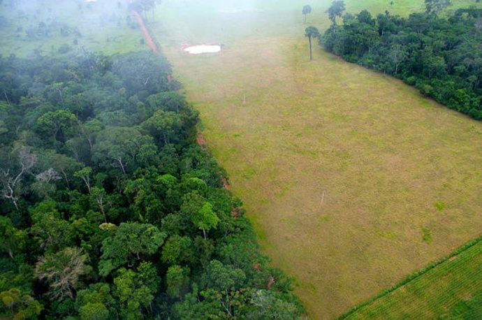 Pla general on es pot veure el contrast entre zones forestals i agrícoles a Acre (Brasil). (Horitzontal)